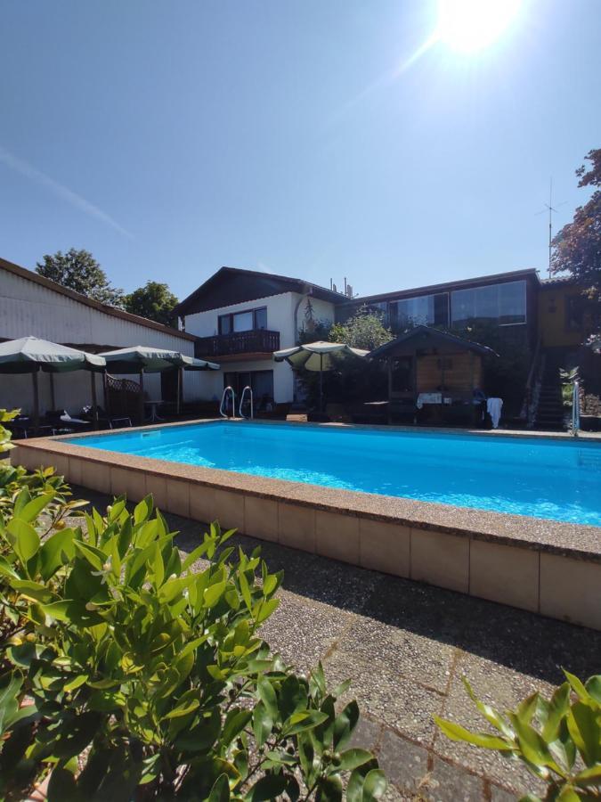 Moselferienweingut Schaefer Wintrich Exterior foto